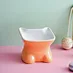 slow eating cat bowl